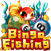 Câu Cá Bingo shbeet games